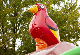 Bestel opblaasbare slide combo piraat luchtkussen voor kinderen. Opblaasbare luchtkussens met glijbaan te koop bij JB Inflatables Nederland