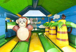 Jungle opblaasbaar overdekt springkasteel met glijbaan kopen bij JB Inflatables Nederland. Bestel online springkastelen bij JB Inflatables Nederland
