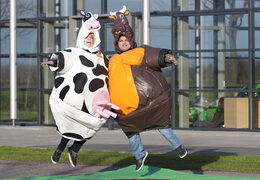 Koop opblaasbare sumo pakken in thema Koe & Stier voor zowel jong als oud. Bestel springkussens online bij JB Inflatables Nederland