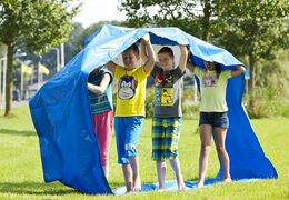 Koop blauwe funslangen voor zowel oud als jong. Bestel springkussens online bij JB Inflatables Nederland