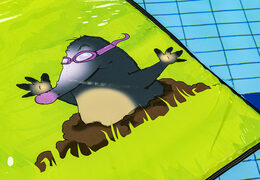 Leuke Survivalmat met gat in verschillende afmetingen en kleuren kopen voor zowel jong als oud. Bestel opblaasbare waterattracties nu online bij JB Inflatables Nederland