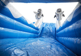 Haal uw opblaasbare dolfijn glijbaan met de vrolijke kleuren, 3D-objecten en leuke print op de zijwand nu online. Bestel opblaasbare glijbanen bij JB Inflatables Nederland