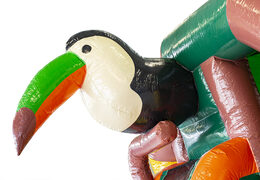 Opblaasbaar slide combo springkasteel met glijbaan bestellen in thema amazone voor kinderen. Koop springkastelen bij JB Inflatables Nederland