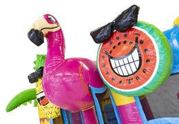 Koop mini multiplay opblaasbare springkasteel met glijbaan in flamingo thema voor kinderen. Bestel opblaasbare springkastelen met glijbaan online bij JB Inflatables Nederland