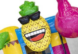 Koop mini multiplay opblaasbare springkussen met glijbaan in flamingo thema voor kinderen. Bestel opblaasbare springkussens met glijbaan online bij JB Inflatables Nederland