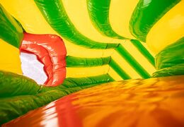 Kruiptunnel krokodil springkasteel met obstakals, een klimhelling en glijhelling voor kids bestellen. Koop springkastelen online bij JB Inflatables Nederland