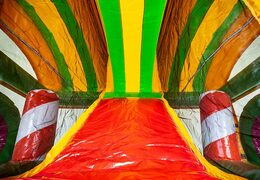 Multiplay XXL Jungleworld springkasteel in een uniek design met twee ingangen, een glijbaan in het midden en 3D objecten bestellen voor kinderen. Koop springkastelen online bij JB Inflatables Nederland