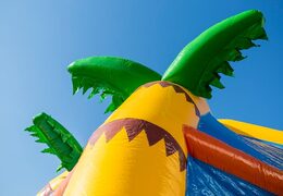 Bestel opblaasbaar multifun springkasteel met dak in thema nemo voor kinderen bij JB Inflatables Nederland. Koop springkastelen online bij JB Inflatables Nederland
