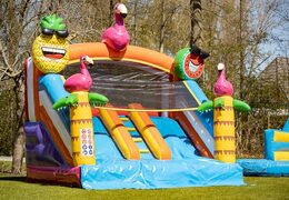 Splashy slide flamingo springkussen kopen bij JB Inflatables bij JB Inflatables Nederland. Bestel springkussens online bij JB Inflatables Nederland