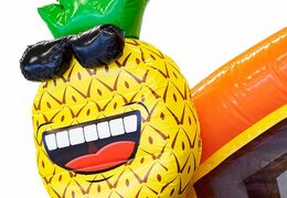 Opblaasbaar splashy slide Flamingo springkussen voor kinderen kopen bij JB Inflatables Nederland. Bestel springkussens online bij JB Inflatables Nederland