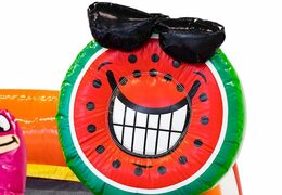 Multiplay splashy slide Flamingo springkussen voor kids bestellen bij JB Inflatables Nederland. Koop springkussens online bij JB Inflatables Nederland