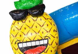 Klein flamigo splash bounce springkussen met of zonder bad kopen bij JB Inflatables Nederland. Bestel springkussens online bij JB Inflatables Nederland 