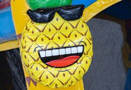 Opblaasbaar Jumpy Happy Splash roze luchtkussen met bad te koop in thema flamingo voor kinderen bij JB Inflatables