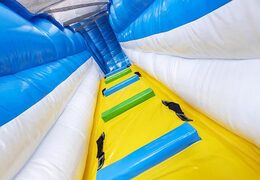 Grote inflatable glijbaan met dubbele slide bestellen voor kinderen 