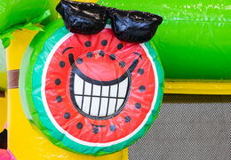 Bestel groot opblaasbaar springkussen in Flamingo thema voor kinderen. Koop springkussens online bij JB Inflatables Nederland 