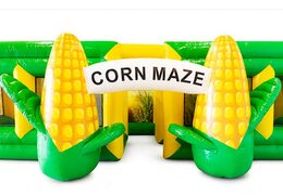 Corn maze