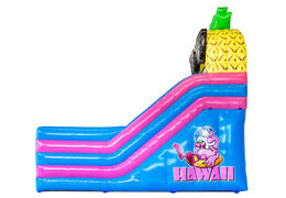Springkasteel met glijbaan in Hawai thema bestellen bij JB Inflatables