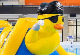 Eend verkleed als piraat op stormbaan zwembad run online kopen