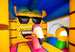 Binnenkant van bouncy box springkussen met flamingo en ananas te koop
