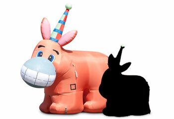 te koop ezeltje prikje inflatable groot