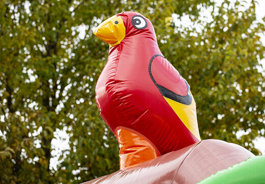 Bestel opblaasbare slide combo piraat luchtkussen voor kinderen. Opblaasbare luchtkussens met glijbaan te koop bij JB Inflatables Nederland