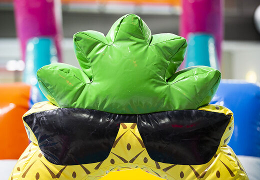 Flamingo Run stormbaan in een uniek design voor zowel jong als oud bestellen. Koop opblaasbare zwembadstormbanen nu online bij JB Inflatables Nederland