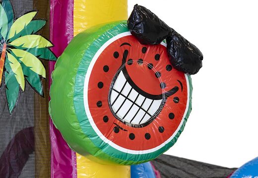 Mini opblaasbare multiplay springkasteel in flamingo thema te bestellen voor kinderen. Bestel opblaasbare springkastelen online at JB Inflatables Nederland