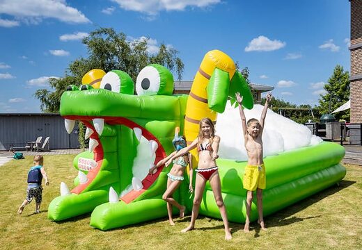 Groot opblaasbaar open bubble boarding park springkussen met schuim bestellen in thema krokodil voor kinderen