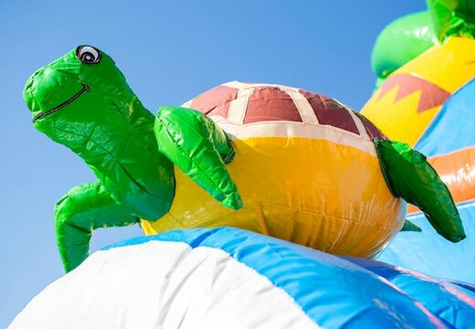 Maxifun super luchtkussen in felle kleuren en leuke 3D figuren in nemo thema kopen bij JB Inflatables Nederland. Bestel luchtkussens nu online bij JB Inflatables Nederland