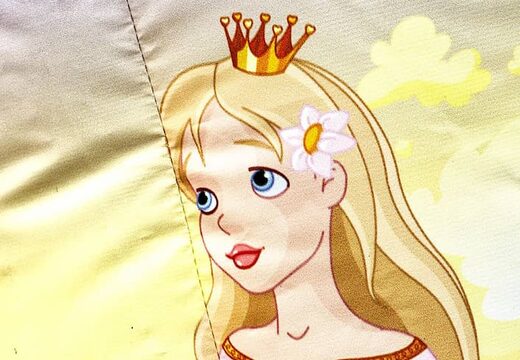 Klein springkasteel overdekt kopen in prinses thema voor kinderen. Bestel springkastelen online bij JB Inflatables Nederland