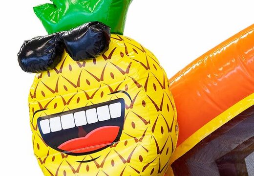 Opblaasbaar splashy slide Flamingo springkussen voor kinderen kopen bij JB Inflatables Nederland. Bestel springkussens online bij JB Inflatables Nederland