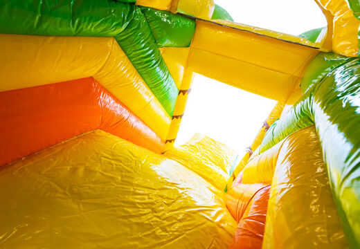 Mini Multiplay opblaasbare luchtkussen te koop in Lion thema voor kinderen. Bestel opblaasbare luchtkussens  bij JB Inflatables Nederland