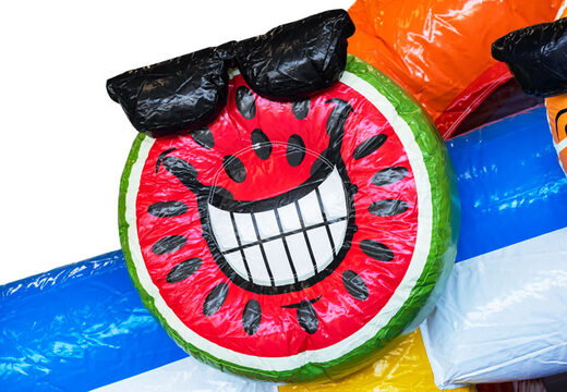 Bestel opblaasbare Mini Multiplay springkasteel in thema Flamingo voor kinderen. Opblaasbare springkastelen kopen bij JB Inflatables Nederland