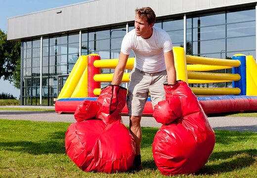 Mega bokshandschoenen voor leuk spel